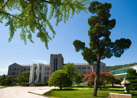 东国大学.png